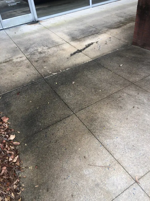 Wf-albermarle-concrete-before